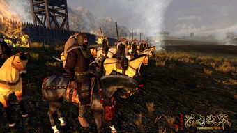 《揭秘汉匈决战：戎马丹心攻略全解析》