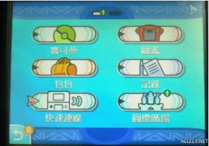 《口袋妖怪日月》孵化攻略：属性分配+训练技巧，轻松培养最强宠物！