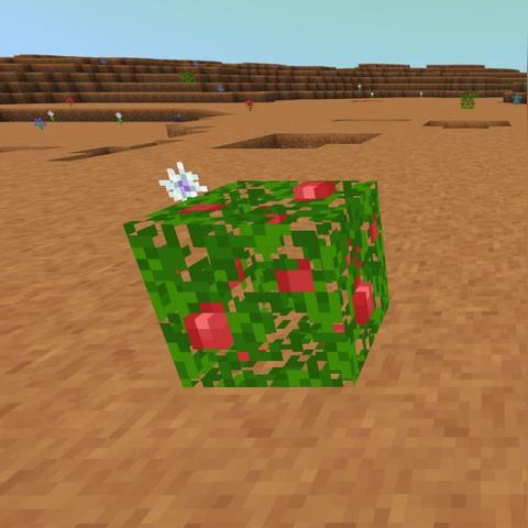 《异星探险秘籍:新手图文攻略大揭秘!》 《异星探险秘籍:新手图文攻略大揭秘!》