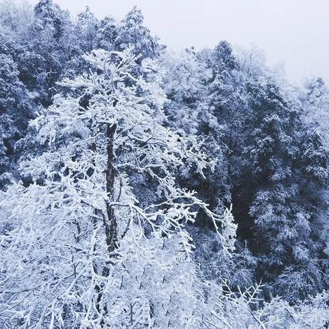 新区秘境！三倍经验掉宝，揭秘宝藏背后的神秘力量