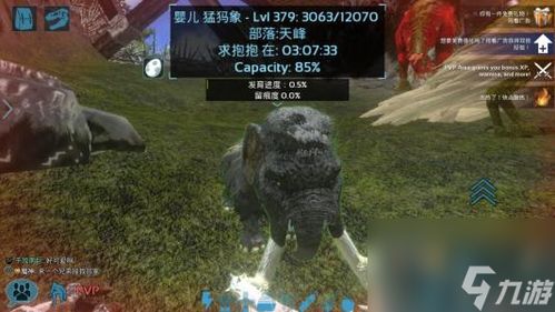 《荒野历战王煌雷龙攻略!独家铳枪技巧,轻松征服巨龙》 《荒野历战王煌雷龙攻略!独家铳枪技巧,轻松征服巨龙》