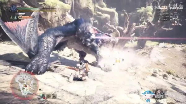 《崛起月迅龙攻略揭秘:教你轻松捕获大小金!》 《崛起月迅龙攻略揭秘:教你轻松捕获大小金!》