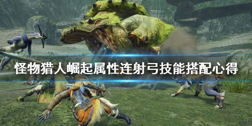 《怪物猎人崛起》伏魔弓DLC高伤秘配，揭秘崛起曙光！