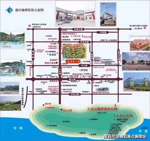 《只狼技能深度解析：独家攻略，解锁最强加点顺序！》