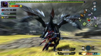 《怪物猎人XX》武器怪名单全解析,揭秘神秘对决! 《怪物猎人XX》武器怪名单全解析,揭秘神秘对决!