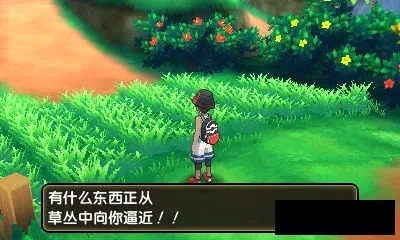 《口袋妖怪究极日月》一周目攻略:揭秘隐藏秘境,速来挑战! 《口袋妖怪究极日月》一周目攻略:揭秘隐藏秘境,速来挑战!