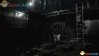 《Grey剧情攻略揭秘：隐藏彩蛋大揭秘！》