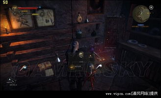 《巫师2加强版》攻略秘籍：深度解析，解锁隐藏技巧！