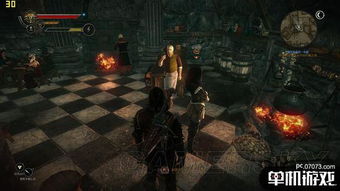 《巫师2加强版》攻略秘籍：深度解析，解锁隐藏技巧！