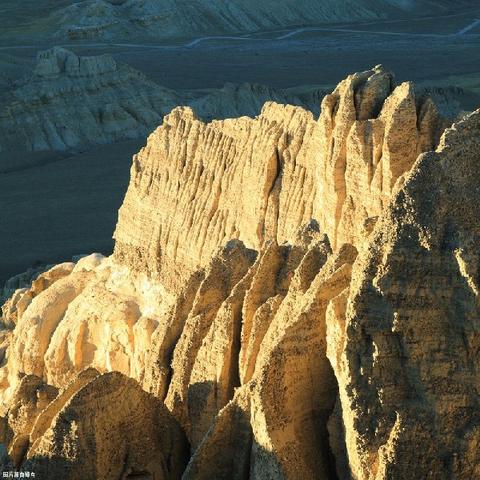 《揭秘》领地人生林中村落攻略：全流程视频大揭秘！