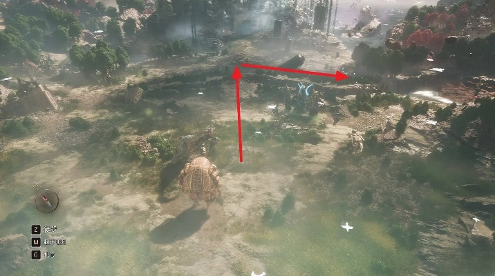 《光与影33号队》暗影竞技场刷头精秘籍！全收集攻略大揭秘