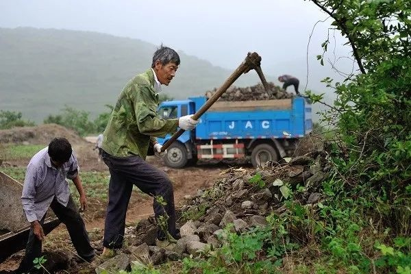 《灾后修复师速成秘籍:揭秘开荒期高效技巧》 《灾后修复师速成秘籍:揭秘开荒期高效技巧》
