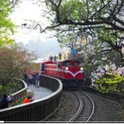 《崩坏星穹铁道》风堇角色揭秘：隐藏技能大曝光！