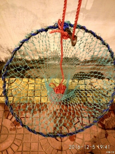 《揭秘!龙转圈圈,少女偷时,钓鱼秘境一网打尽》 《揭秘!龙转圈圈,少女偷时,钓鱼秘境一网打尽》