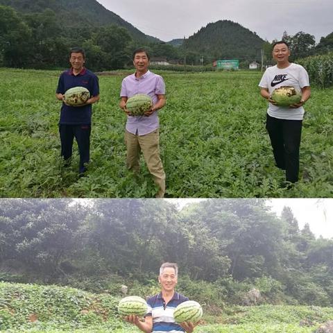 幻想生活i新手入门指南，高效开启你的奇幻之旅