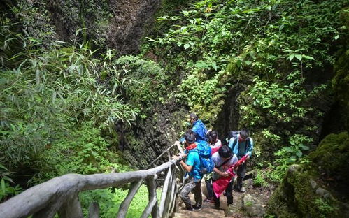 《幻塔探秘：揭秘全地岩植株金核藏匿之地》