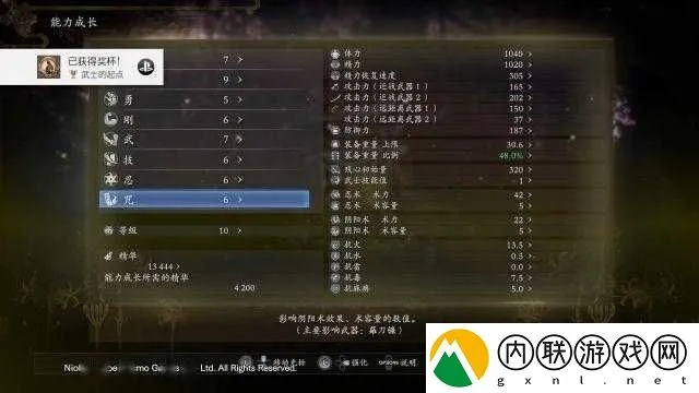 《仁王》收益翻倍攻略！加点技巧揭秘，收益最大化！