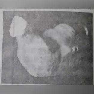 《口袋妖怪日月》高效孵蛋技巧！揭秘生蛋道具与刷努力值攻略！