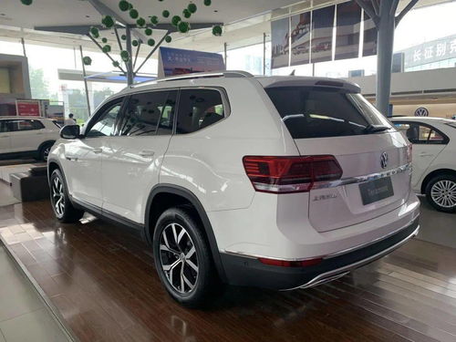 《过山车之星》揭秘:隐藏玩法大揭秘,体验刺激新高度! 《过山车之星》揭秘:隐藏玩法大揭秘,体验刺激新高度!