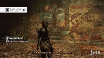 《古墓丽影崛起》白金攻略：揭秘全奖杯收集技巧，白金达成不再是梦