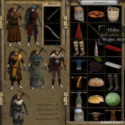 《战团捏脸秘籍：揭秘《骑马与砍杀》绝色NPC养成记》