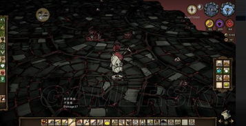 《千年狐永冬生存攻略揭秘：独家生存技巧大公开！》