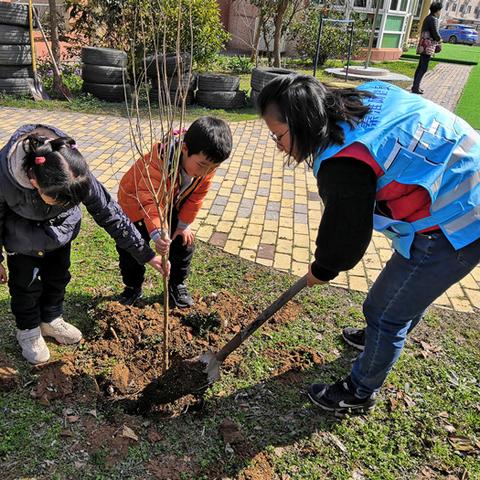《成长家园新手速成秘籍:界面操作一学就会!》 《成长家园新手速成秘籍:界面操作一学就会!》