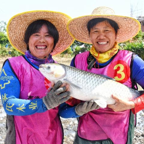 探寻神秘!平原鱼王藏身之谜,揭秘之地竟在此! 探寻神秘!平原鱼王藏身之谜,揭秘之地竟在此!