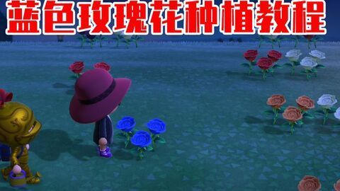 《动物森友会》蓝玫瑰杂交攻略：揭秘高效繁殖技巧！
