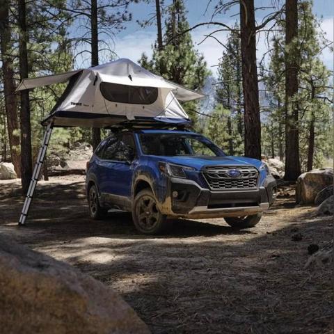 荒野求生巅峰对决!2025荣耀挑战赛,百万钻石等你来战! 荒野求生巅峰对决!2025荣耀挑战赛,百万钻石等你来战!