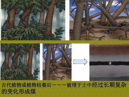 探寻托恩特大树的神秘踪迹：揭秘《幻想生活i》中的隐秘之地