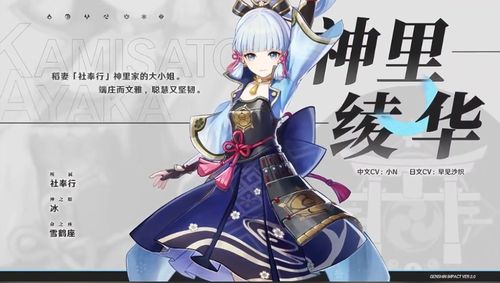 《原神》稻妻祈愿角色养成攻略，揭秘隐藏养成技巧！