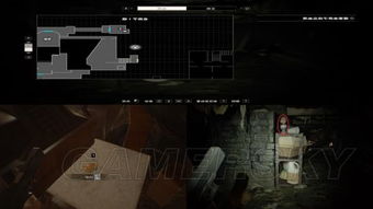 《生化7》疯人院无伤通关！揭秘隐藏技巧，挑战你的操作极限