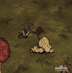 《饥荒》麦斯威尔攻略揭秘：新手必看！快速上手技巧大公开