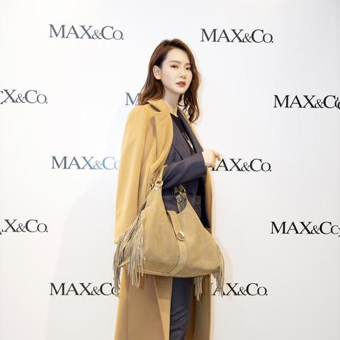 《麦克斯全攻略揭秘！深度解说视频，速来解锁》