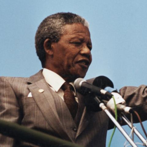 探寻神秘！揭秘《幻想生活i》中巨大曼德拉草的神奇获取之道