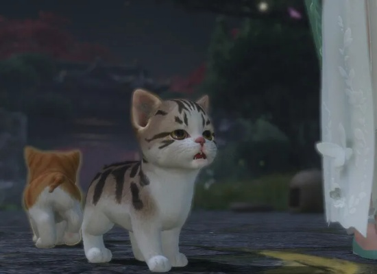 《逆水寒》猫咪养成攻略:揭秘驯养技巧与Debuff效果! 《逆水寒》猫咪养成攻略:揭秘驯养技巧与Debuff效果!