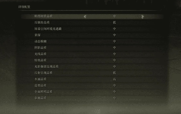 《艾尔登法环》闪退难题揭秘!独家解决攻略大公开 《艾尔登法环》闪退难题揭秘!独家解决攻略大公开