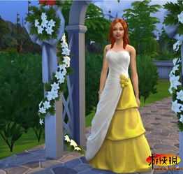 《揭秘！模拟人生4男士婚纱MOD，独特用法大公开》
