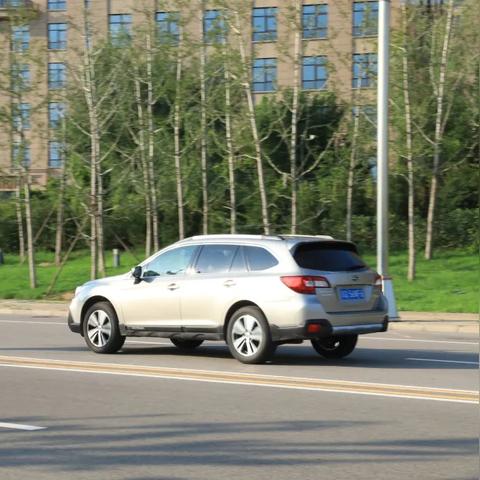 揭秘未转变者专属！食物属性表大揭秘，你吃对了吗？