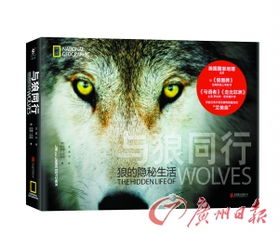 《第五章揭秘：与狼同行，深度图文攻略，揭秘未知！》