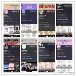 晶体管实操揭秘:图文心得大公开,新手必看! 晶体管实操揭秘:图文心得大公开,新手必看!