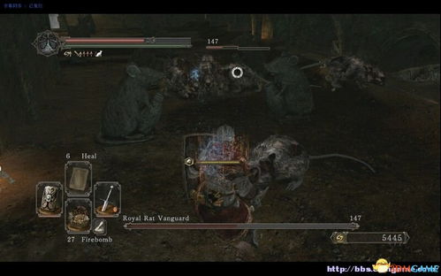 《暗黑魂2全防具攻略揭秘:独家拿法,速成全防达人!》 《暗黑魂2全防具攻略揭秘:独家拿法,速成全防达人!》