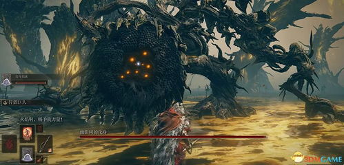 《艾尔登法环三头野兽BOSS攻略：揭秘黑夜君临战法！》