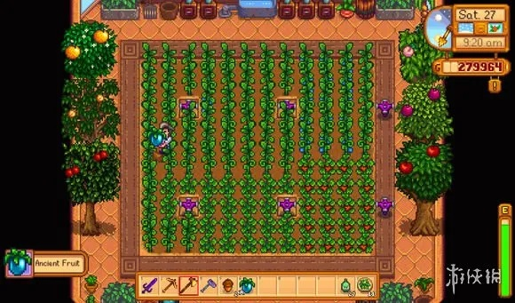 《星露谷物语》四季玩法揭秘：独家技巧图文攻略大放送！