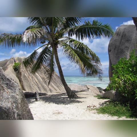 《全境封锁》真实场景揭秘：探秘游戏与现实之秘境对比！