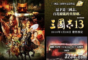 《三国志13》嘴炮攻略揭秘：舌战群雄，一统天下秘籍！