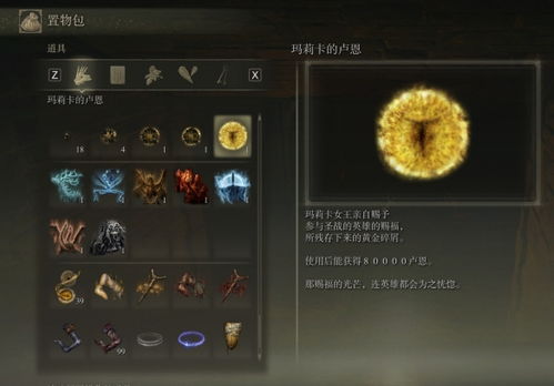 《艾尔登法环黑夜君临》守护者单排攻略:揭秘高效构筑! 《艾尔登法环黑夜君临》守护者单排攻略:揭秘高效构筑!