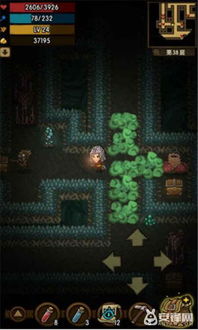 《幻想生活i扭蛋迷宫:揭秘隐藏宝藏,探索未知惊喜!》 《幻想生活i扭蛋迷宫:揭秘隐藏宝藏,探索未知惊喜!》