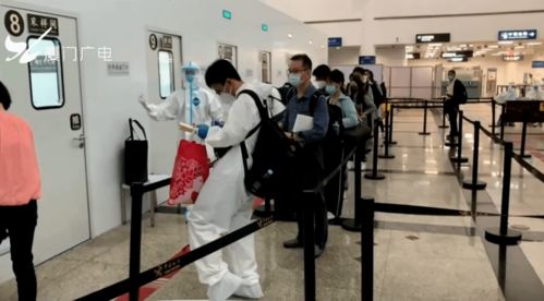 《幻想生活i:揭秘无垠大陆,材料获取秘籍大公开!》 《幻想生活i:揭秘无垠大陆,材料获取秘籍大公开!》